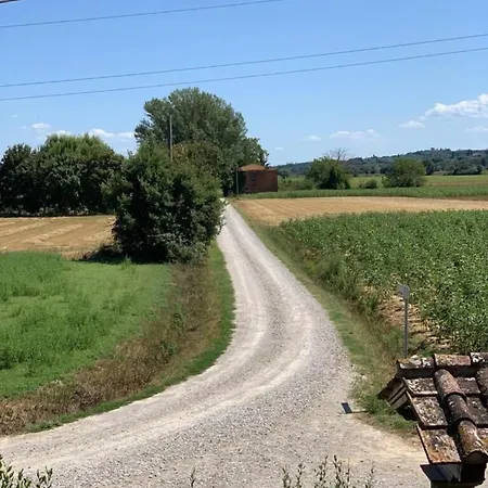 Il Falco *