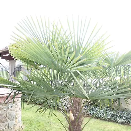Il Falco Guest house